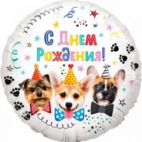 Шар Круг С днем рождения, Собаки